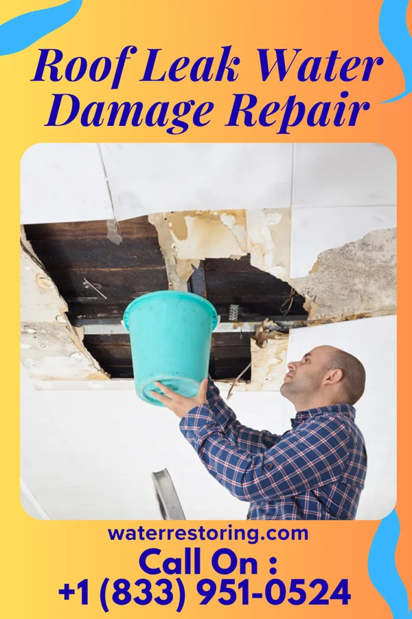 Roof Leak Water Damage Repair in Rantoul, KS